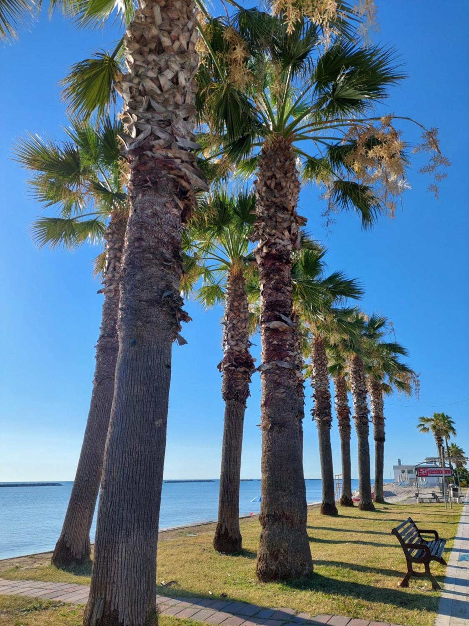 La Conchiglia Apartment Porto Sant'Elpidio Luaran gambar